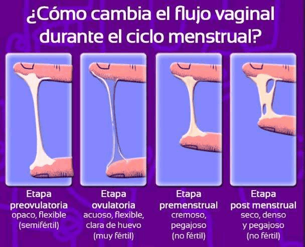 ¿Cómo se dice vagina en Buenos Aires?