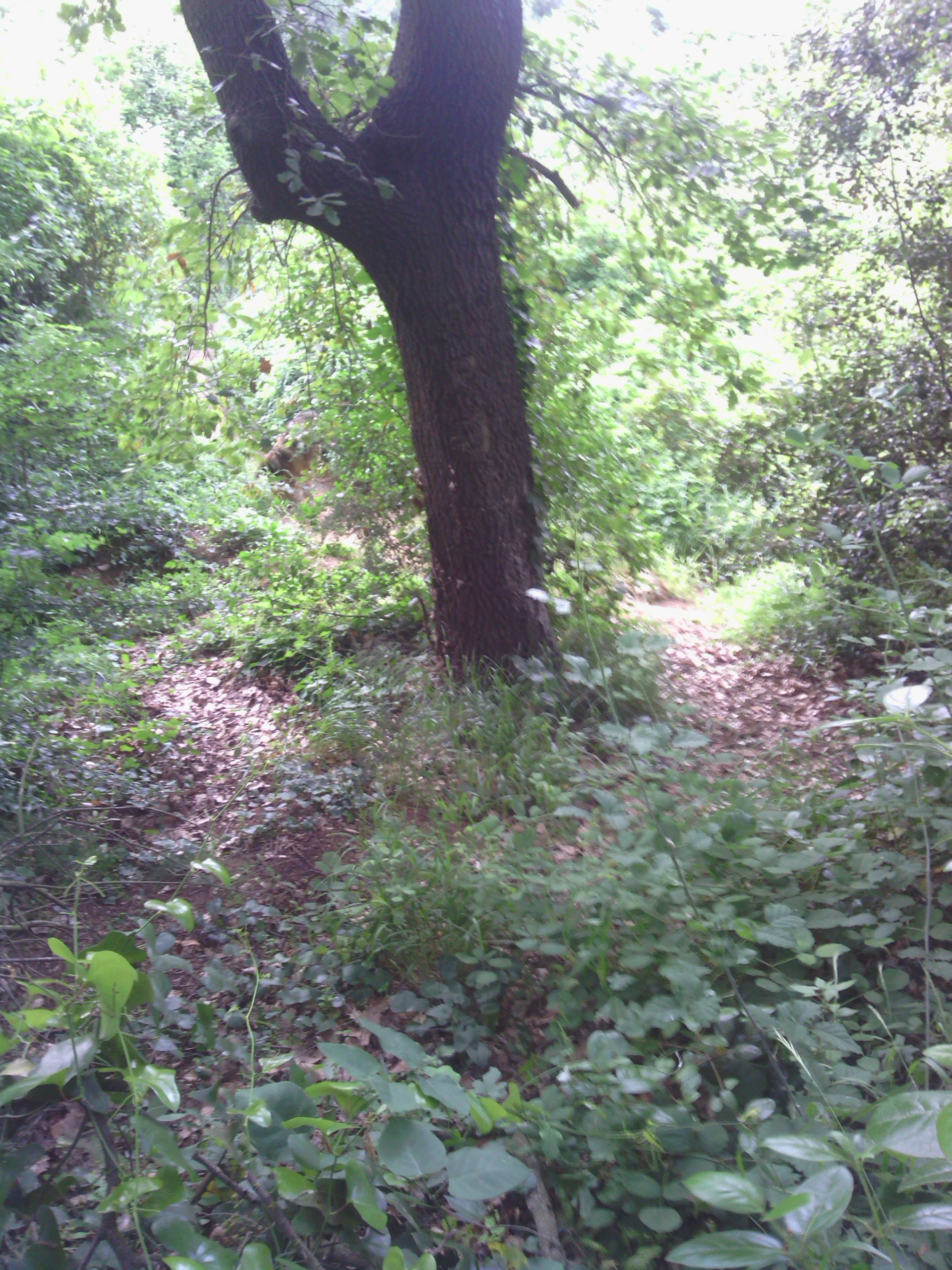 El rincón de los secretos | Club de Escritura Fuentetaja